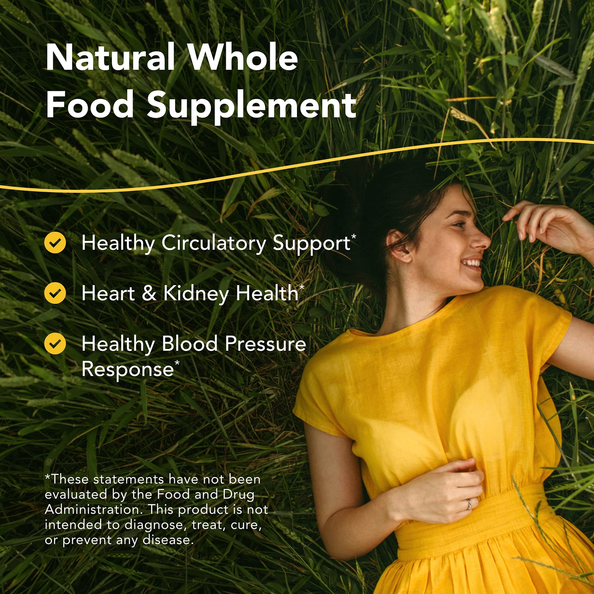 NORTH AMERICAN HERB & SPICE Hyper-eeZ - 90 Vegi Caps - Herbs, Spices, Flowers, Berry Blend - Blood Pressure & Circulation Support - Assists with Heart, Circulation, Kidneys - Non-GMO - 90 Servings - dailyvitalstore