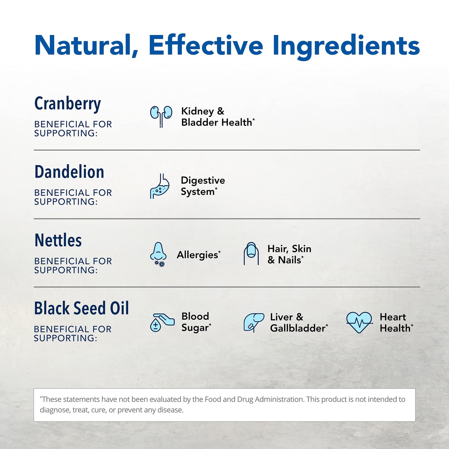 NORTH AMERICAN HERB & SPICE Total Body Purge - 12 fl. oz. - Raw Whole Body Formula - Builds Healthy & Nutritious Diet - Contains Natural Source Phenols, Vitamins, & Minerals - 12 Servings - dailyvitalstore