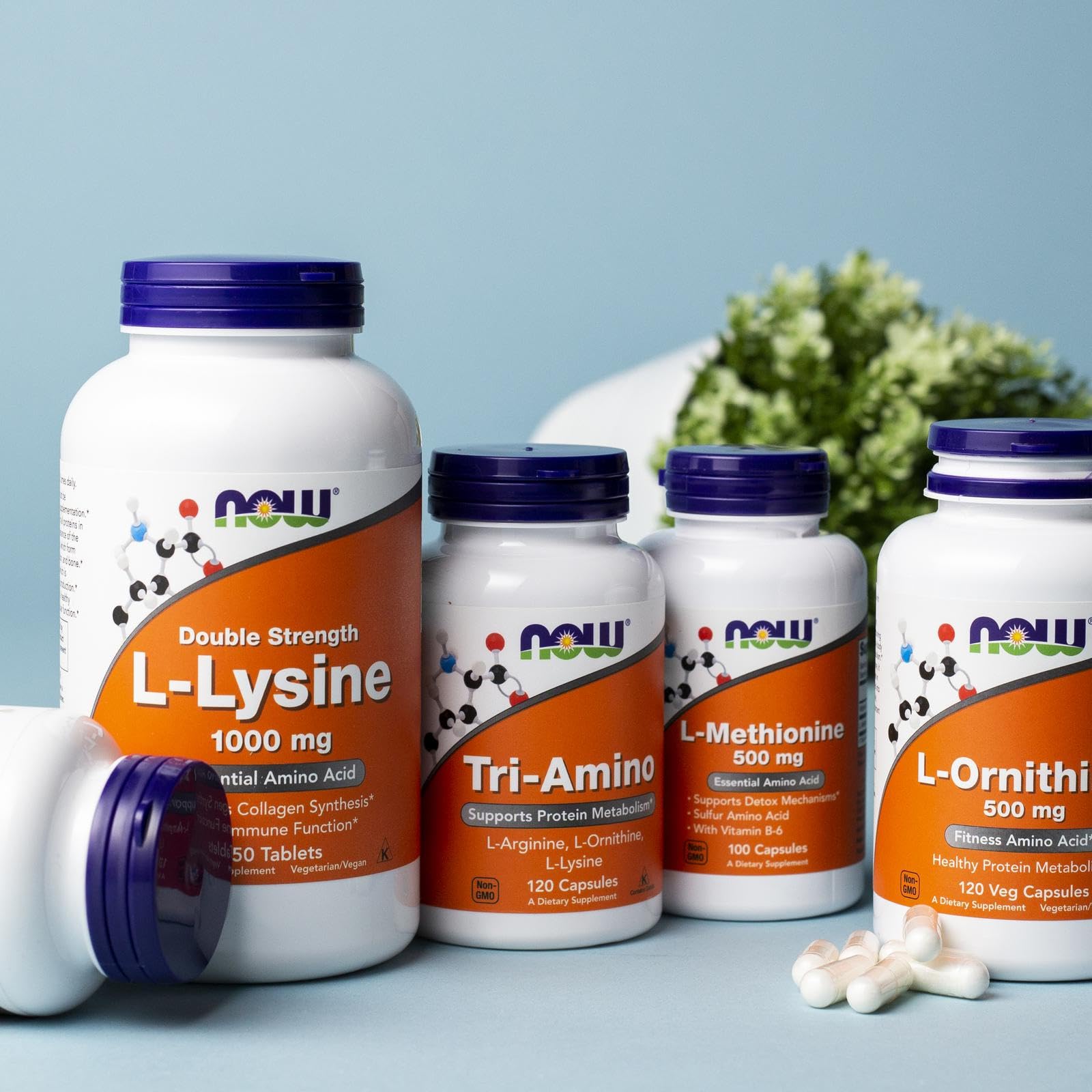 NOW Foods Supplements, Tri-Amino with L-Arginine, L-Ornithine, L-Lysine, Supports Protein Metabolism*, 120 Capsules - dailyvitalstore