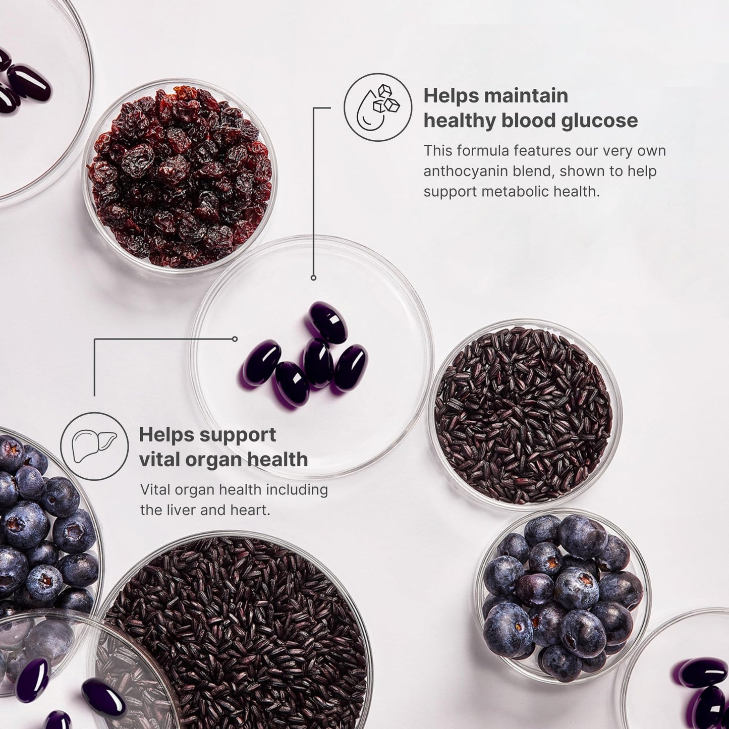 Nu Skin ageLOC Meta | Premium Dietary Supplement | Advanced Soft Gel Capsules Promoting Metabolic Health, Immune Support, Antioxidant Defense, and Improved Gut Health - dailyvitalstore