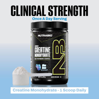 NutraBio Pure Micronized Creatine Monohydrate Powder Supplement, Blue Razz (300 g) - Supports Bulk Muscle Energy, Recovery, and Strength - HPLC Tested Creatine Powder Supplement for Men and Women - dailyvitalstore