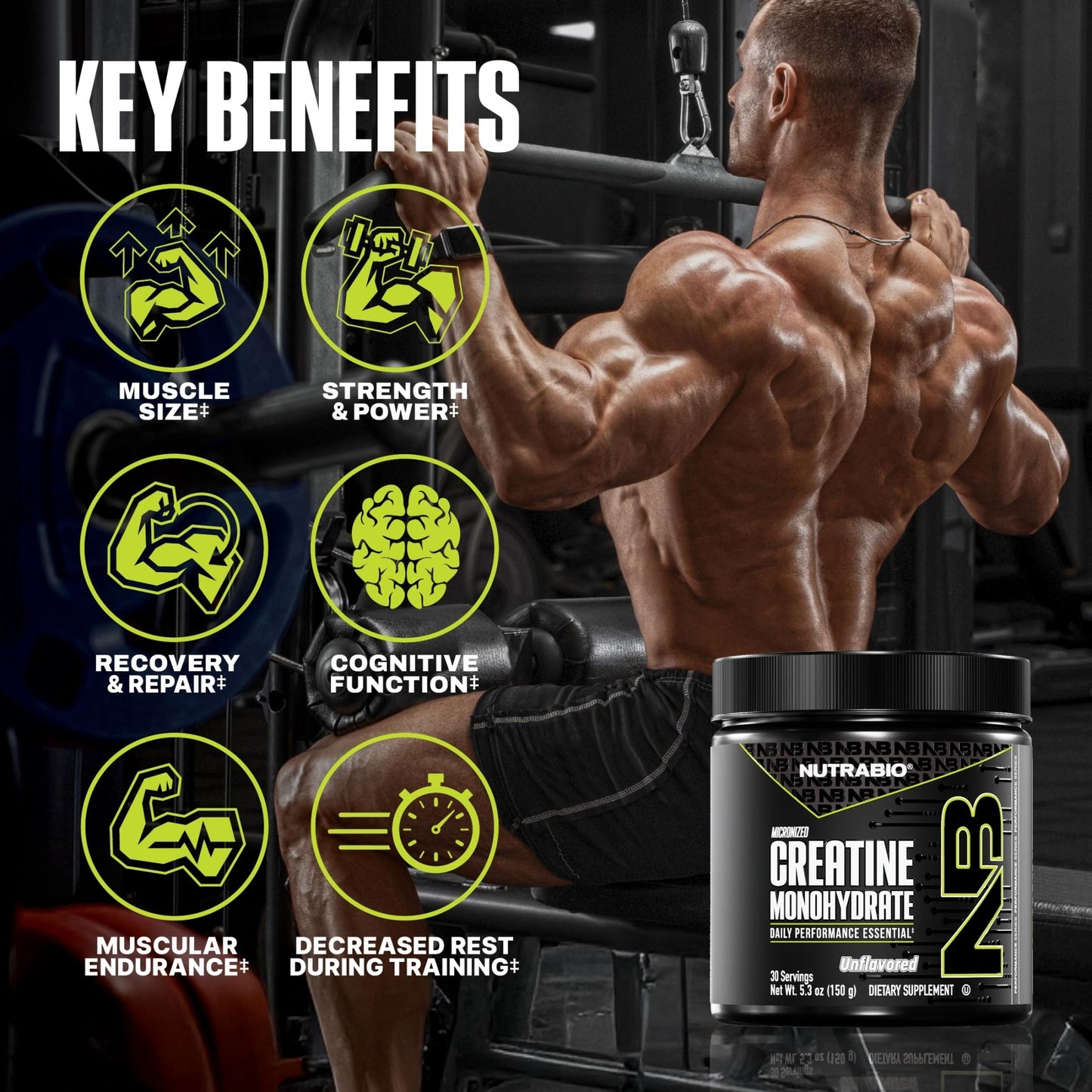 NutraBio Pure Micronized Creatine Monohydrate Powder Supplement, Unflavored, (150 g) - Supports Bulk Muscle Energy, Recovery, and Strength - HPLC Tested Creatine Powder Supplement for Men and Women - dailyvitalstore