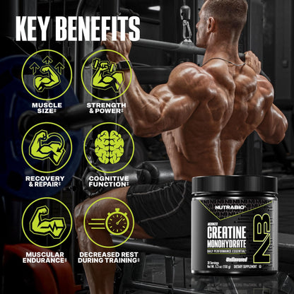 NutraBio Pure Micronized Creatine Monohydrate Powder Supplement, Unflavored, (150 g) - Supports Bulk Muscle Energy, Recovery, and Strength - HPLC Tested Creatine Powder Supplement for Men and Women - dailyvitalstore