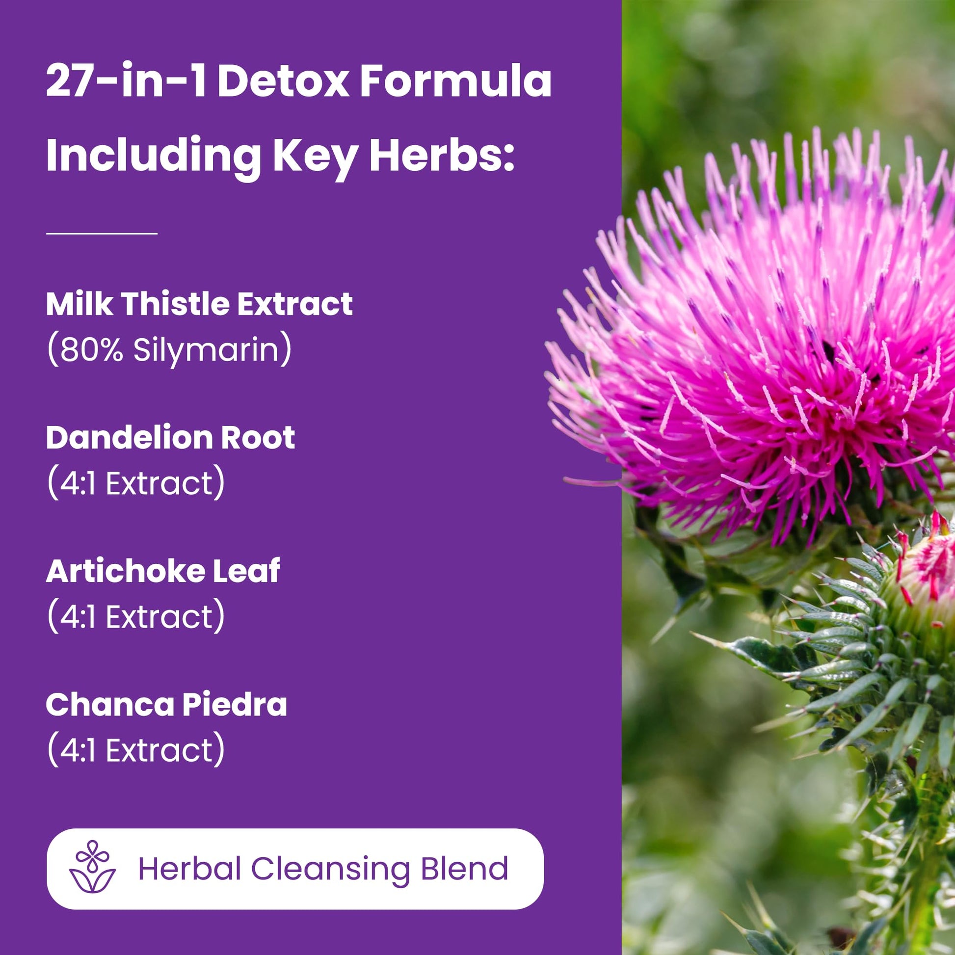 NutraChamps Liver Cleanse Detox & Repair Formula, 20+ Herbs: Milk Thistle Extract with Silymarin, Artichoke, Dandelion, Chicory Root Powder, - dailyvitalstore