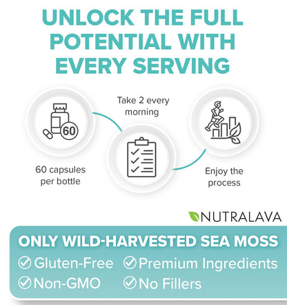 NUTRALAVA Sea Moss Pills, All-in-One Blend with Irish Sea Moss Black Seed Oil Ashwagandha, Sea Moss Capsules for Women and Men - Gluten-Free, Non-GMO, 60 Capsules - dailyvitalstore