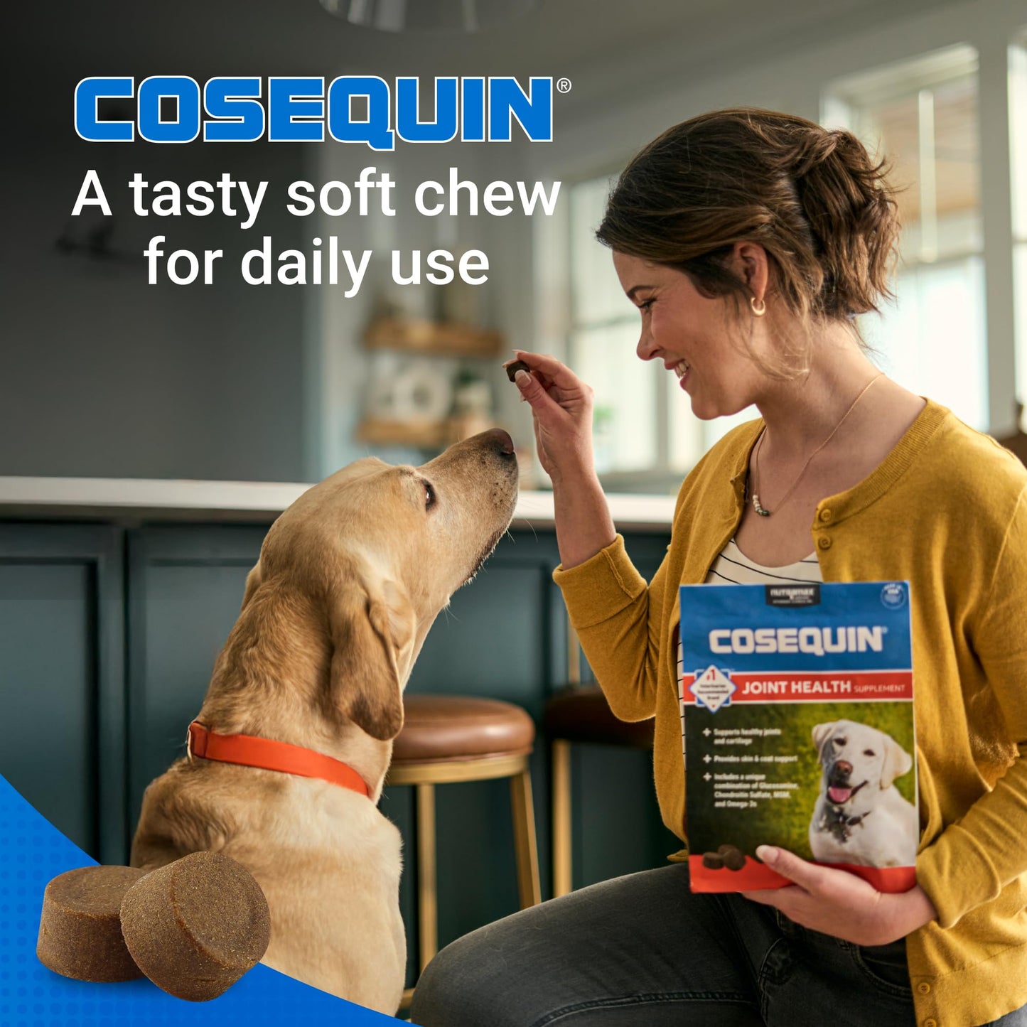 Nutramax Cosequin for Dogs Joint Health Supplement, Contains Glucosamine for Dogs, Chondroitin, MSM and Omega-3s, Supports Joint and Skin and Coat Health, Soft Chews, 60 Count - dailyvitalstore