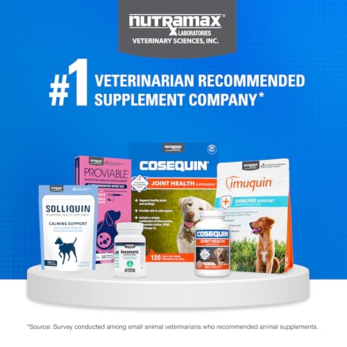 Nutramax Cosequin for Dogs Joint Health Supplement, Contains Glucosamine for Dogs, Chondroitin, MSM and Omega-3s, Supports Joint and Skin and Coat Health, Soft Chews, 60 Count - dailyvitalstore
