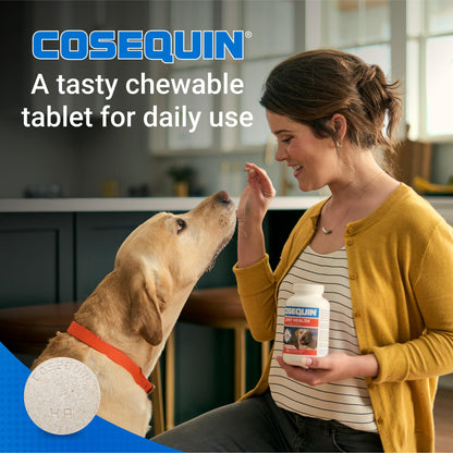 Nutramax Cosequin for Dogs Joint Health Supplement, Contains Glucosamine for Dogs, Plus Chondroitin, MSM and HA, Supports Healthy Joints, Chewable Tablets, 75 Count - dailyvitalstore
