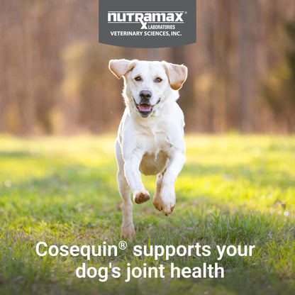 Nutramax Cosequin for Dogs Joint Health Supplement, Contains Glucosamine, Plus Chondroitin, MSM and Omega-3s, Supports Joint and Skin and Coat Health, Soft Chews, 120 Count - dailyvitalstore