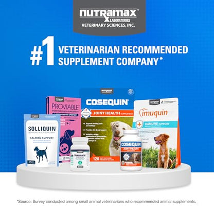 Nutramax Cosequin for Dogs Joint Health Supplement, Contains Glucosamine, Plus Chondroitin, MSM and Omega-3s, Supports Joint and Skin and Coat Health, Soft Chews, 120 Count - dailyvitalstore