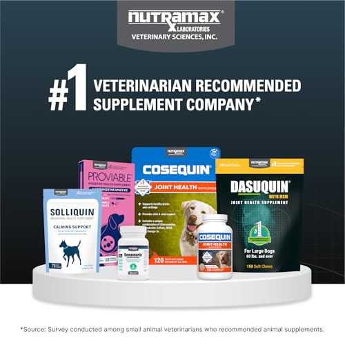 Nutramax Dasuquin for Large Dogs, Joint Health Supplement, Contains Glucosamine for Dogs, Plus Chondroitin, ASU and More, Supports Healthy Joints, Chewable Tablets, 150 Count - dailyvitalstore