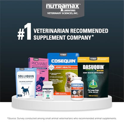 Nutramax Dasuquin for Large Dogs, Joint Health Supplement, Contains Glucosamine for Dogs, Plus Chondroitin, ASU and More, Supports Healthy Joints, Chewable Tablets, 150 Count - dailyvitalstore