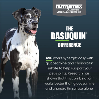 Nutramax Dasuquin for Large Dogs, Joint Health Supplement, Contains Glucosamine for Dogs, Plus Chondroitin, ASU and More, Supports Healthy Joints, Chewable Tablets, 150 Count - dailyvitalstore