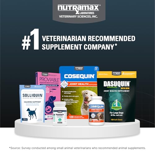 Nutramax Dasuquin for Large Dogs, Joint Health Supplement, Contains Glucosamine for Dogs, Plus Chondroitin, ASU and More, Supports Healthy Joints, Soft Chews, 150 Count - dailyvitalstore