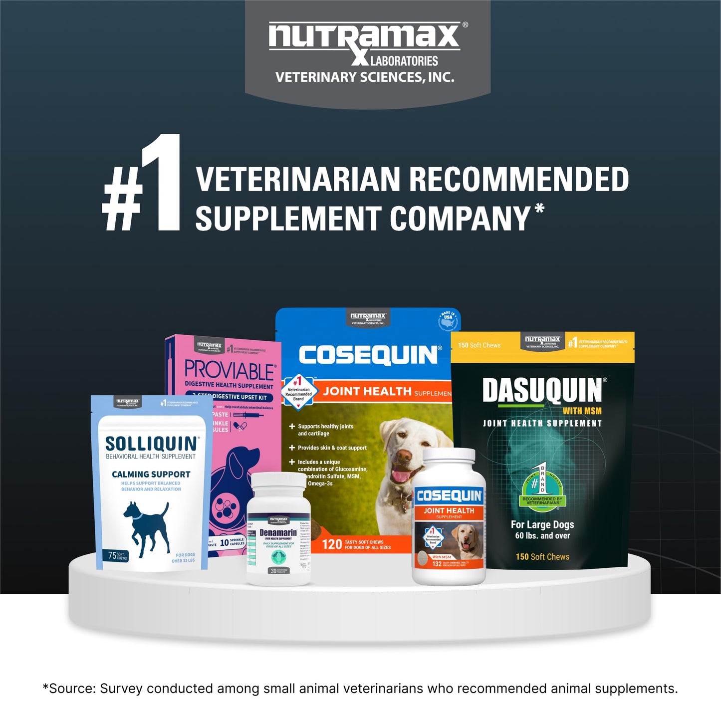 Nutramax Dasuquin for Large Dogs, Joint Health Supplement, Contains Glucosamine for Dogs, Plus Chondroitin, ASU and More, Supports Healthy Joints, Soft Chews, 84 Count - dailyvitalstore
