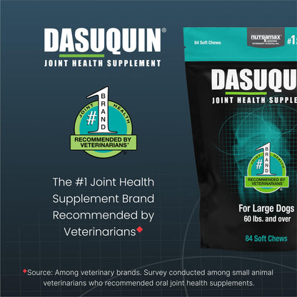 Nutramax Dasuquin for Large Dogs, Joint Health Supplement, Contains Glucosamine for Dogs, Plus Chondroitin, ASU and More, Supports Healthy Joints, Soft Chews, 84 Count - dailyvitalstore