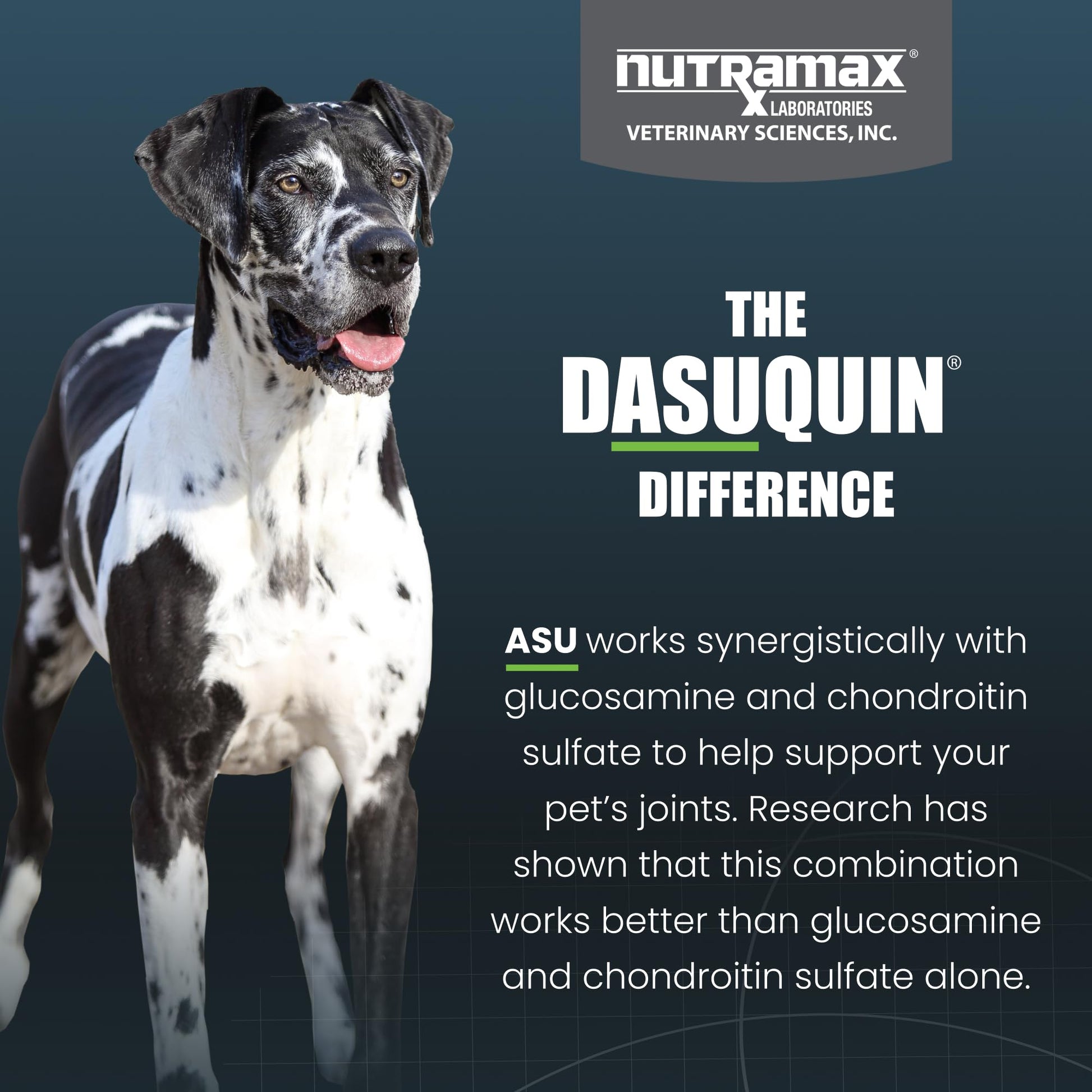 Nutramax Dasuquin for Large Dogs, Joint Health Supplement, Contains Glucosamine for Dogs, Plus Chondroitin, ASU, MSM and More, Supports Healthy Joints, Soft Chews, 150 Count - dailyvitalstore