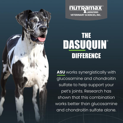 Nutramax Dasuquin for Large Dogs, Joint Health Supplement, Contains Glucosamine for Dogs, Plus Chondroitin, ASU, MSM and More, Supports Healthy Joints, Soft Chews, 150 Count - dailyvitalstore