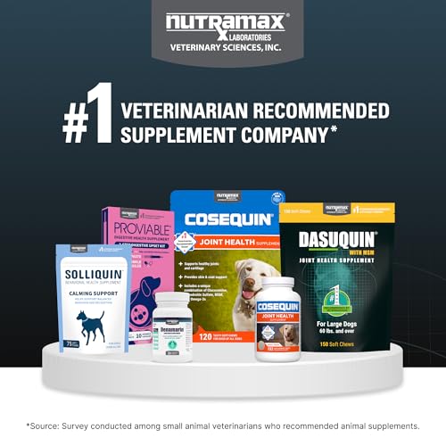 Nutramax Dasuquin for Large Dogs, Joint Health Supplement, Contains Glucosamine for Dogs, Plus Chondroitin, ASU, MSM and More, Supports Healthy Joints, Soft Chews, 150 Count - dailyvitalstore