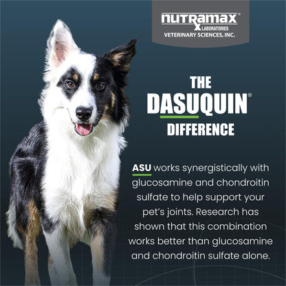 Nutramax Dasuquin for Small to Medium Dogs, Joint Health Supplement, Contains Glucosamine for Dogs, Plus Chondroitin, ASU and More, Supports Healthy Joints, Chewable Tablets, 150 Count - dailyvitalstore