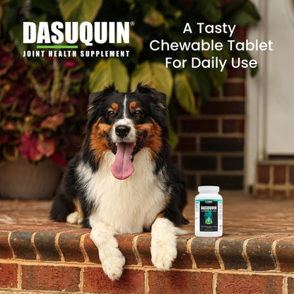 Nutramax Dasuquin for Small to Medium Dogs, Joint Health Supplement, Contains Glucosamine for Dogs, Plus Chondroitin, ASU and More, Supports Healthy Joints, Chewable Tablets, 150 Count - dailyvitalstore