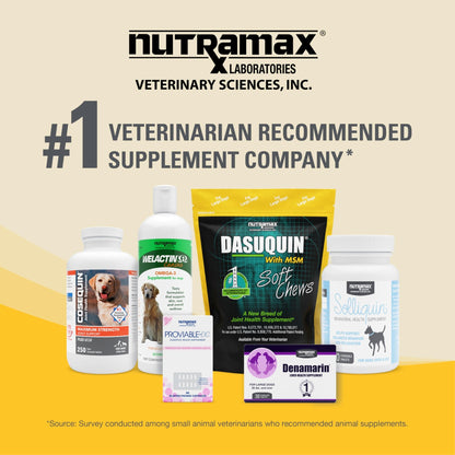 Nutramax Dasuquin for Small to Medium Dogs, Joint Health Supplement, Contains Glucosamine for Dogs, Plus Chondroitin, ASU, MSM and More, Supports Healthy Joints, Chewable Tablets, 84 Count - dailyvitalstore