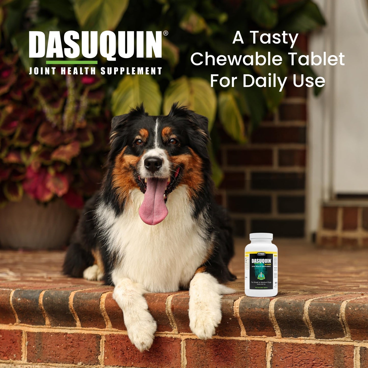 Nutramax Dasuquin for Small to Medium Dogs, Joint Health Supplement, Contains Glucosamine for Dogs, Plus Chondroitin, ASU, MSM and More, Supports Healthy Joints, Chewable Tablets, 150 Count - dailyvitalstore