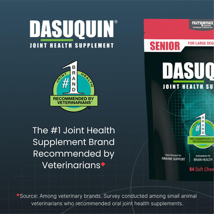 Nutramax Dasuquin Joint Health Supplement for Large Senior Dogs – for Immune Support, Skin & Coat Health, and Brain Health, 84 Soft Chews - dailyvitalstore