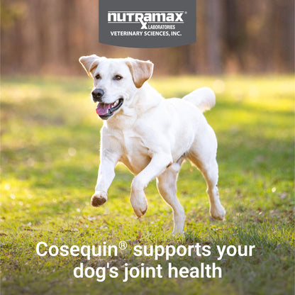 Nutramax Laboratories Cosequin Maximum Strength Joint Health Supplement for Dogs - With Glucosamine, Chondroitin, and MSM, 2 Pack, 264 Total Chewable Tablets - dailyvitalstore