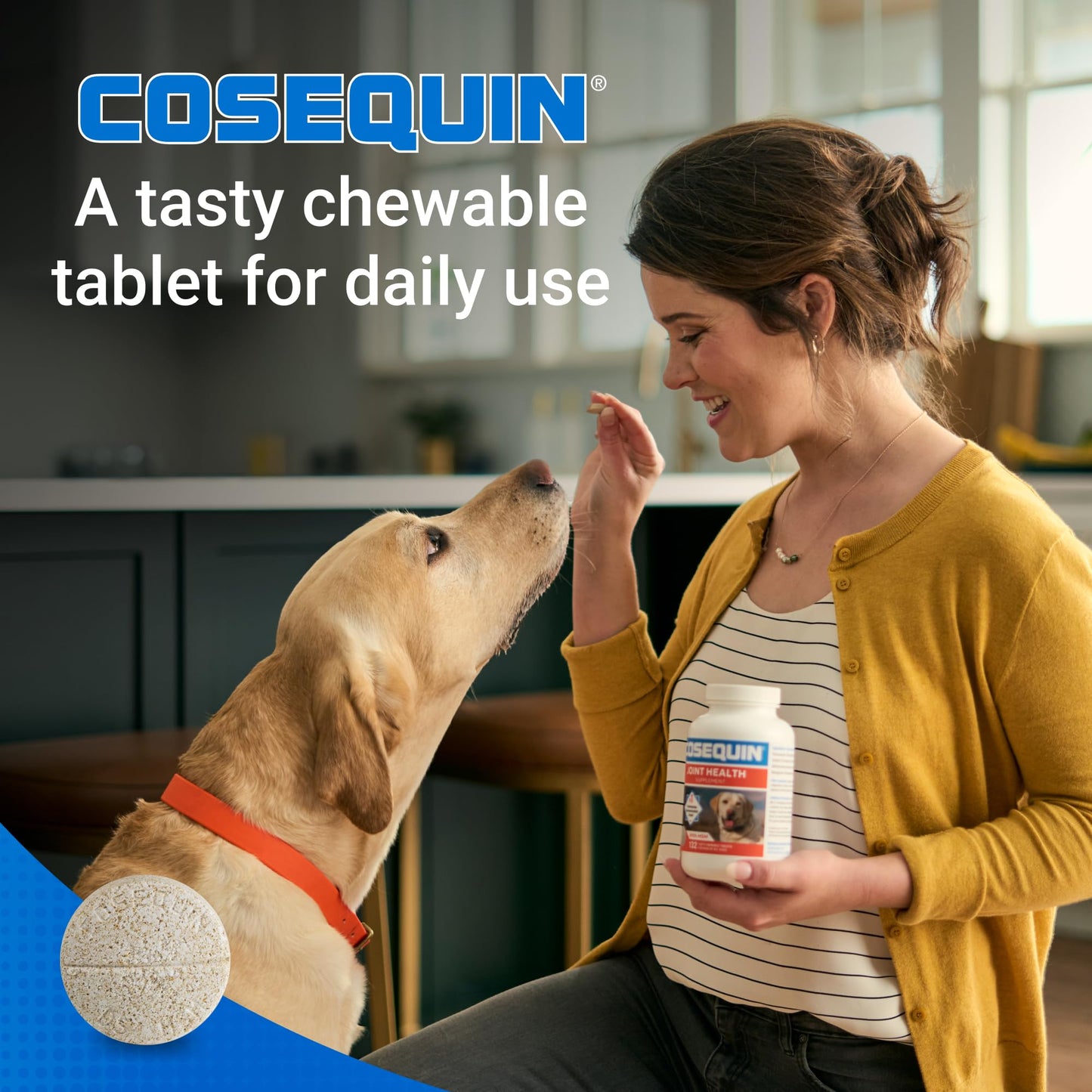 Nutramax Laboratories Cosequin Maximum Strength Joint Health Supplement for Dogs - With Glucosamine, Chondroitin, and MSM, 2 Pack, 264 Total Chewable Tablets - dailyvitalstore
