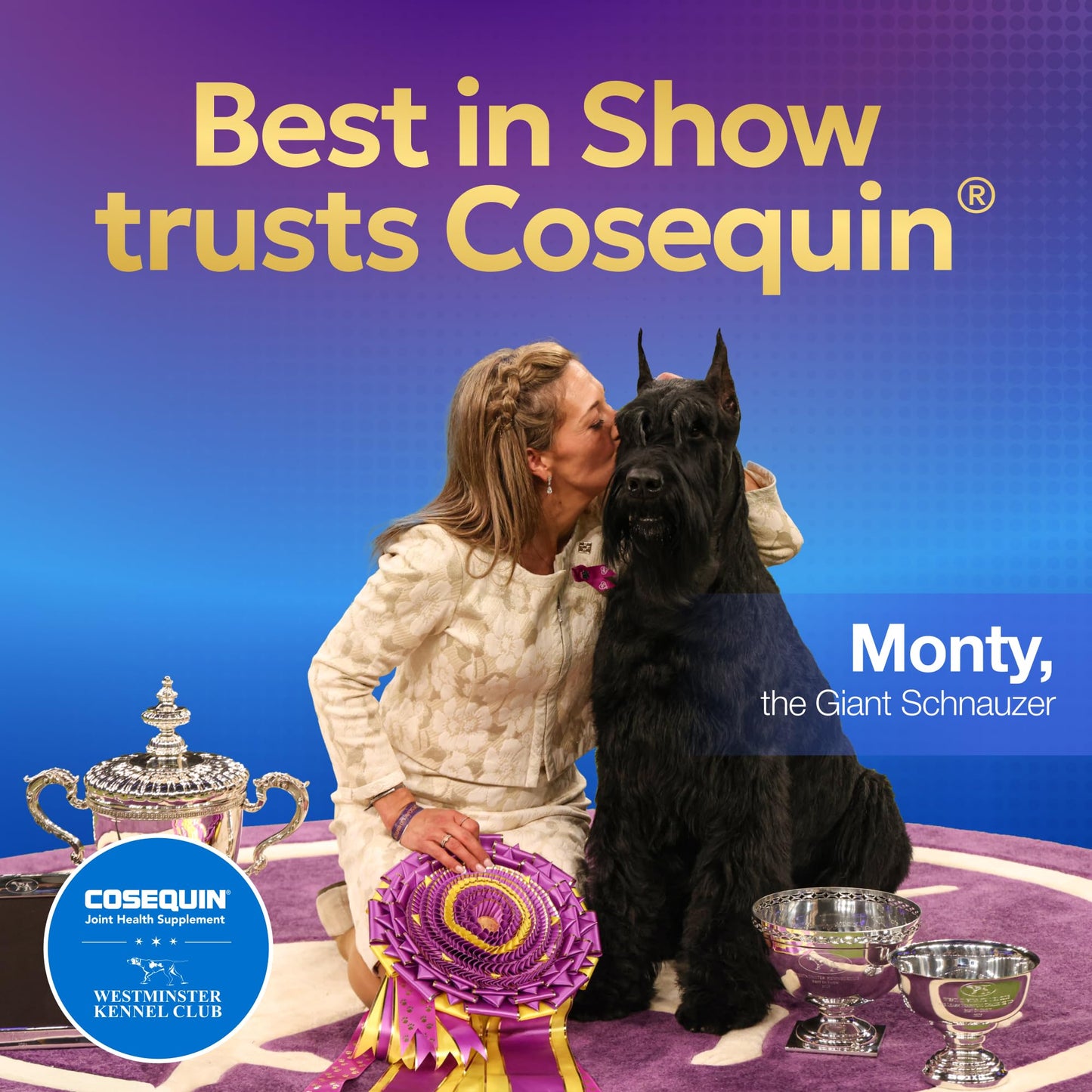 Nutramax Laboratories Cosequin Maximum Strength Joint Health Supplement for Dogs - With Glucosamine, Chondroitin, and MSM, 2 Pack, 264 Total Chewable Tablets - dailyvitalstore