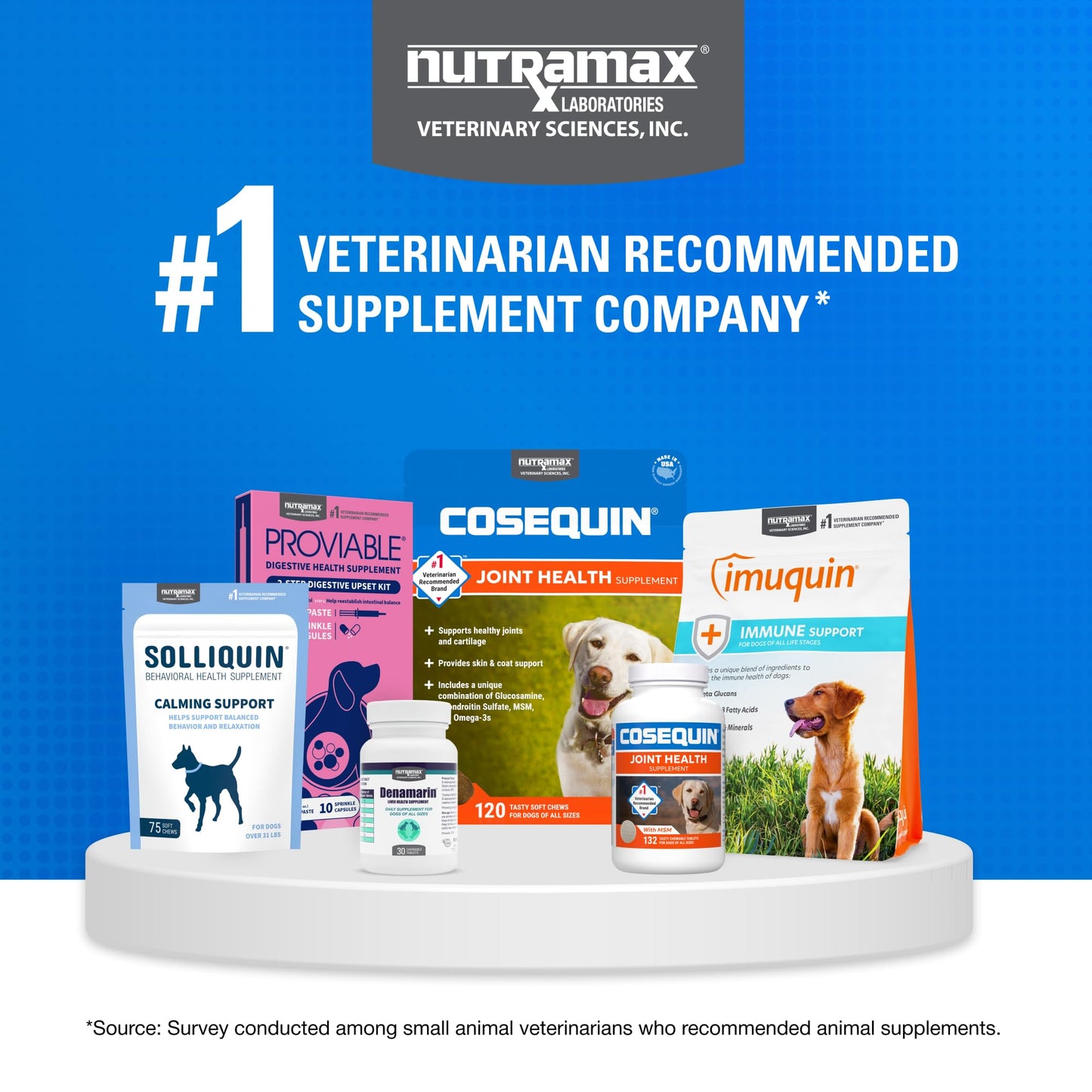 Nutramax Laboratories Cosequin Maximum Strength Joint Health Supplement for Dogs - With Glucosamine, Chondroitin, and MSM, 2 Pack, 264 Total Chewable Tablets - dailyvitalstore