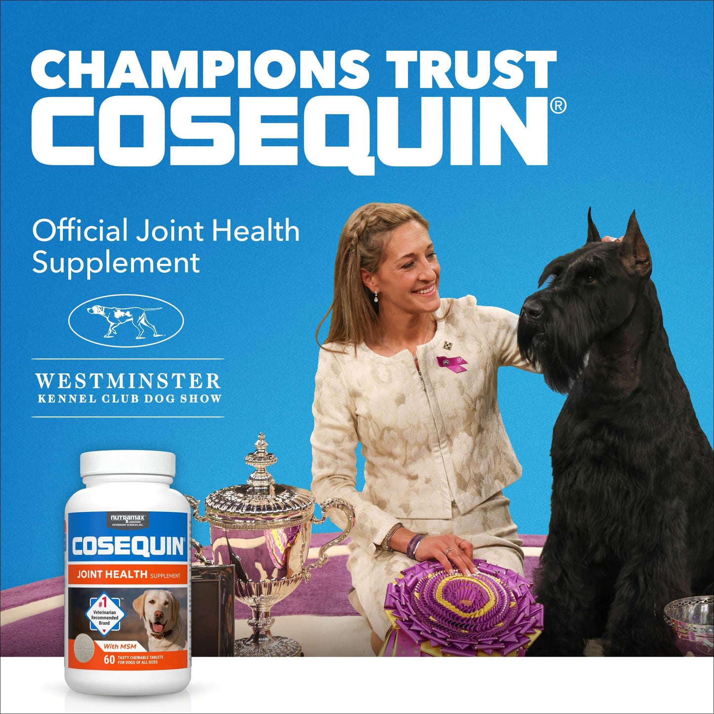 Nutramax Laboratories Cosequin Maximum Strength Joint Health Supplement for Dogs - With Glucosamine, Chondroitin, and MSM, 2 Pack, 264 Total Chewable Tablets - dailyvitalstore