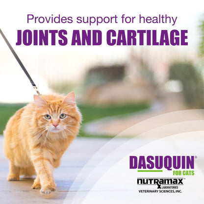 Nutramax Laboratories Dasuquin Joint Health Supplement for Cats - With Glucosamine, Chondroitin, ASU, Boswellia Serrata Extract, and Green Tea Extract, 84 Capsules - dailyvitalstore