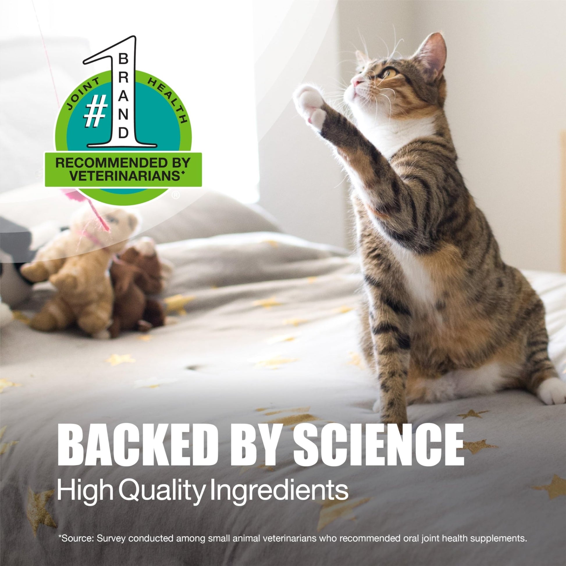 Nutramax Laboratories Dasuquin Joint Health Supplement for Cats - With Glucosamine, Chondroitin, ASU, Boswellia Serrata Extract, and Green Tea Extract, 84 Capsules - dailyvitalstore