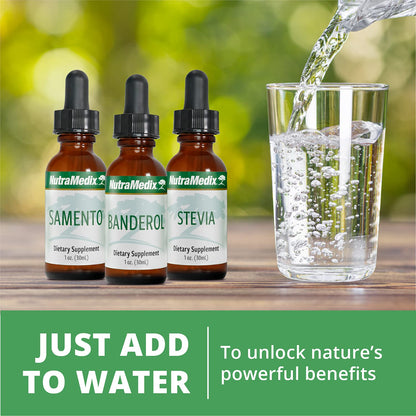 Nutramedix Nutra BRL - Liquid Herbal Supplement for Gut Health & Immune Support - Samento & Banderol for Digestive Health - Immune System Booster Supplement (60mL) - dailyvitalstore