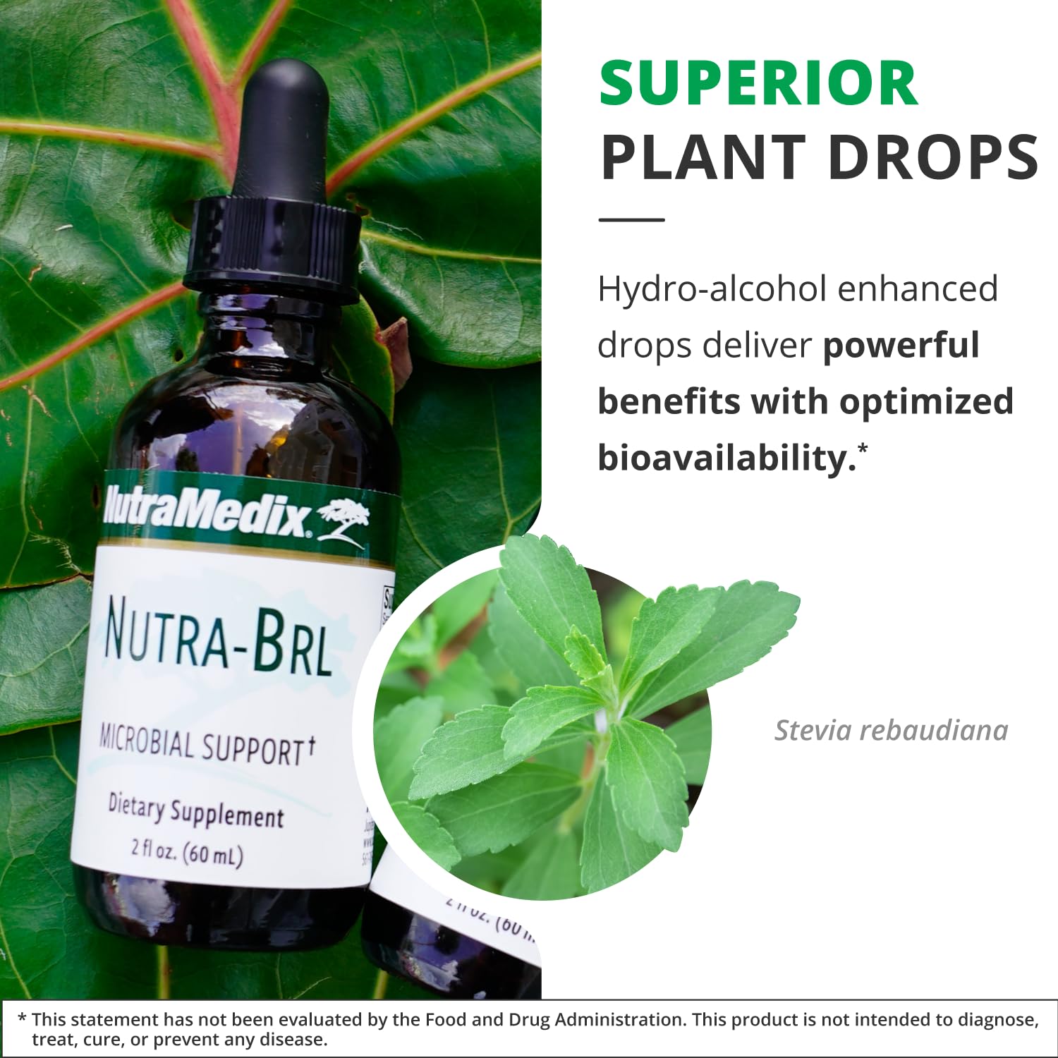 Nutramedix Nutra BRL - Liquid Herbal Supplement for Gut Health & Immune Support - Samento & Banderol for Digestive Health - Immune System Booster Supplement (60mL) - dailyvitalstore