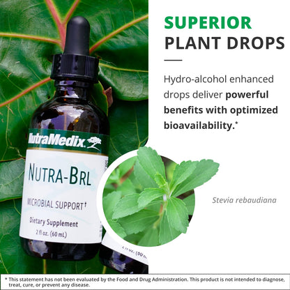 Nutramedix Nutra BRL - Liquid Herbal Supplement for Gut Health & Immune Support - Samento & Banderol for Digestive Health - Immune System Booster Supplement (60mL) - dailyvitalstore