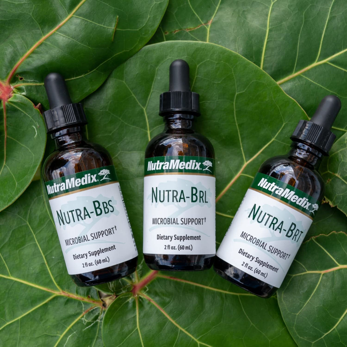 Nutramedix Nutra BRT - Liquid Herbal Supplement for Gut Health & Immune Support - Cumanda Bark & Houttuynia Leaf for Digestive Health - Immune System Booster Supplement (60mL) - dailyvitalstore