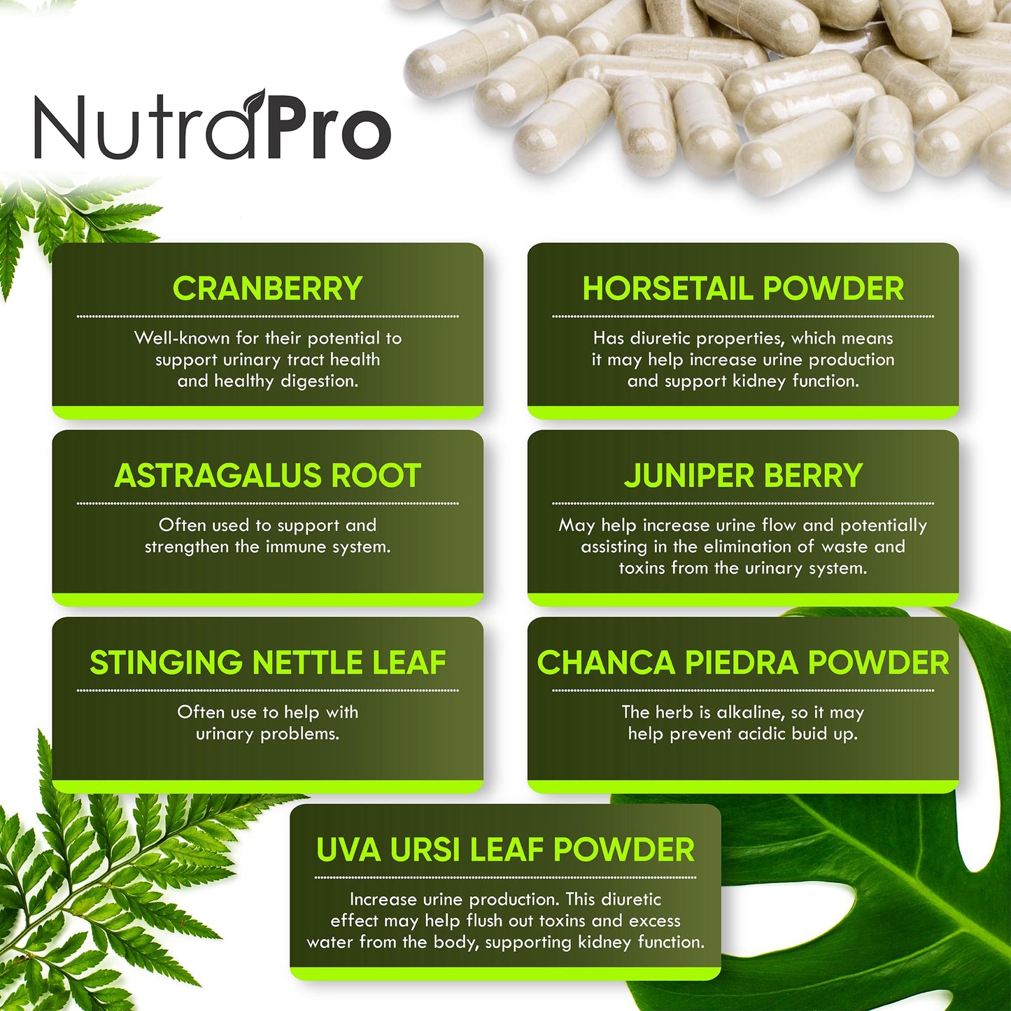 NutraPro Kidney Cleanse Detox & Repair and Bladder Support- Kidney Support Supplement for Kidney Restore with Chanca Piedra,Cranberry, Juniper Berries - dailyvitalstore