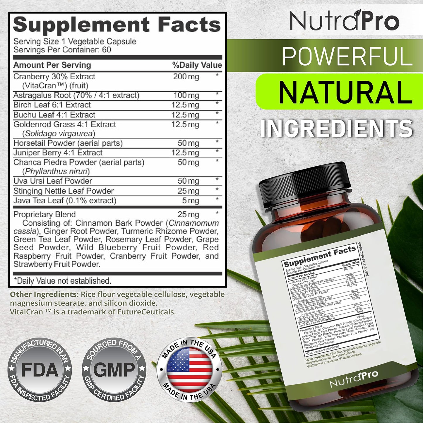 NutraPro Kidney Cleanse Detox & Repair and Bladder Support- Kidney Support Supplement for Kidney Restore with Chanca Piedra,Cranberry, Juniper Berries - dailyvitalstore