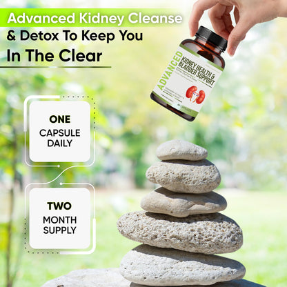 NutraPro Kidney Cleanse Detox & Repair and Bladder Support- Kidney Support Supplement for Kidney Restore with Chanca Piedra,Cranberry, Juniper Berries - dailyvitalstore