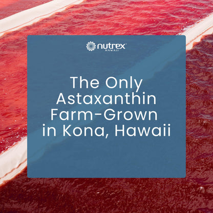 Nutrex Hawaii BioAstin Hawaiian Astaxanthin - 4mg, 60 Softgels - Farm-Direct Premium Antioxidant Supplement to Support Eye, Skin, Joint & Immune System Health - Non-GMO & Gluten-Free - dailyvitalstore