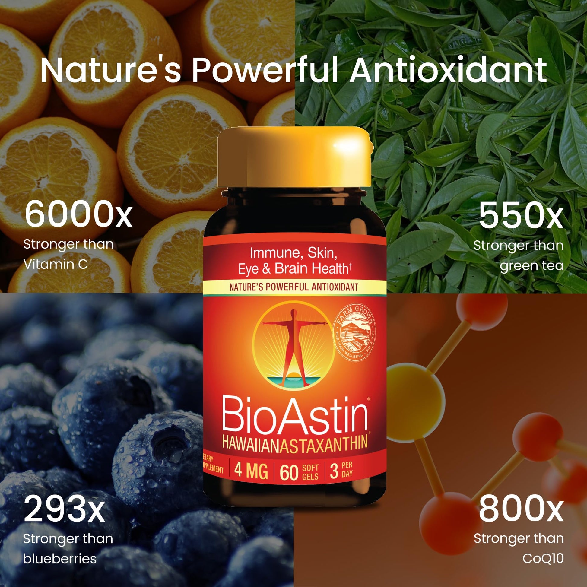 Nutrex Hawaii BioAstin Hawaiian Astaxanthin - 4mg, 60 Softgels - Farm-Direct Premium Antioxidant Supplement to Support Eye, Skin, Joint & Immune System Health - Non-GMO & Gluten-Free - dailyvitalstore