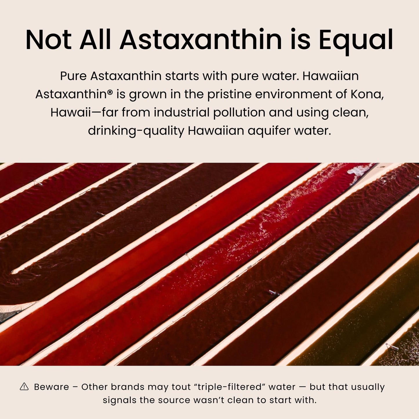 Nutrex Hawaii BioAstin Hawaiian Astaxanthin - 4mg, 60 Softgels - Farm-Direct Premium Antioxidant Supplement to Support Eye, Skin, Joint & Immune System Health - Non-GMO & Gluten-Free - dailyvitalstore