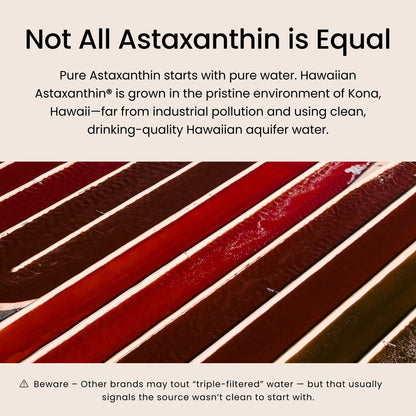 Nutrex Hawaii BioAstin Hawaiian Astaxanthin - 4mg, 60 Softgels - Farm-Direct Premium Antioxidant Supplement to Support Eye, Skin, Joint & Immune System Health - Non-GMO & Gluten-Free - dailyvitalstore