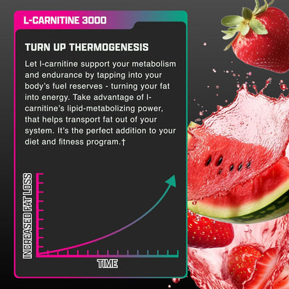 Nutrex Research Liquid Carnitine 3000 | (Strawberry Watermelon) | Premium L Carnitine Liquid, Stimulant Free 31 Servings - dailyvitalstore