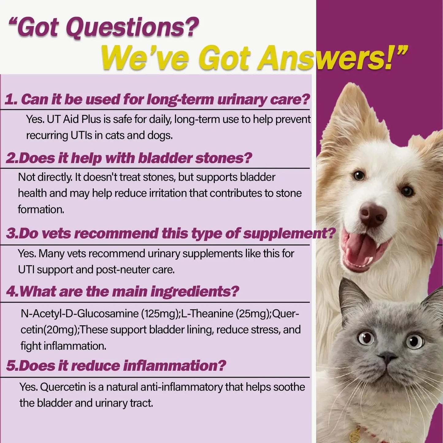 NUTRIARISE Natural UTI Treatment for Cats & Dogs – Antibiotic-Free Urinary Tract Infection Support Supplement – Bladder & Kidney Health – Incontinence Prevention – 30 Capsules - dailyvitalstore