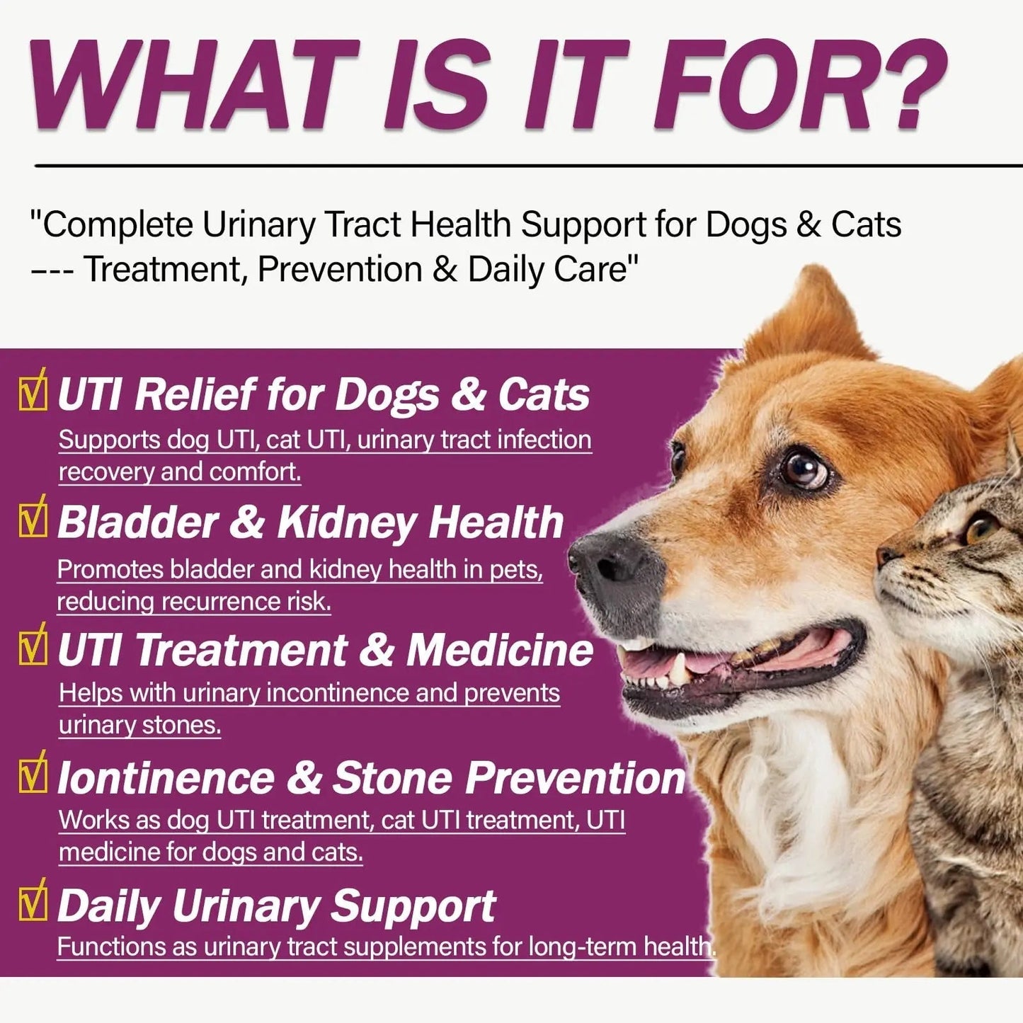 NUTRIARISE Natural UTI Treatment for Cats & Dogs – Antibiotic-Free Urinary Tract Infection Support Supplement – Bladder & Kidney Health – Incontinence Prevention – 30 Capsules - dailyvitalstore