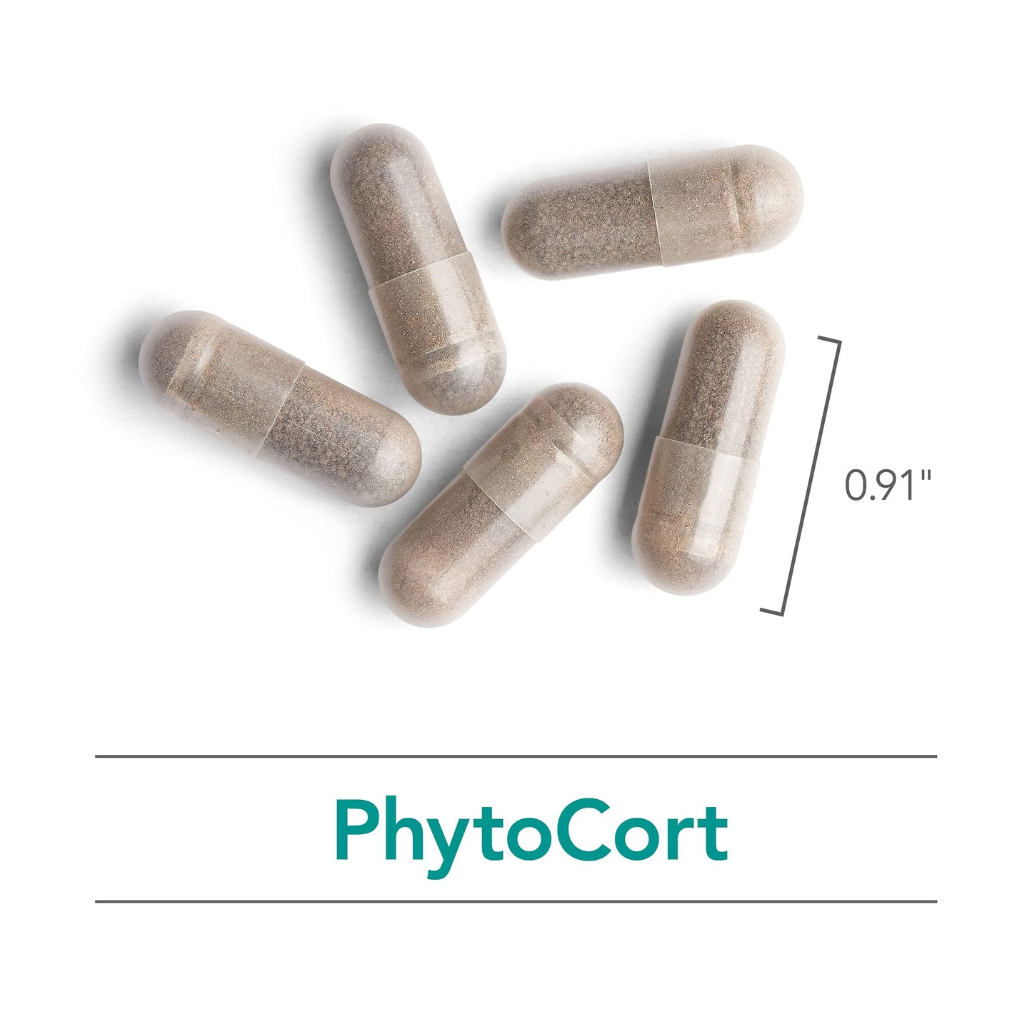 Nutricology PhytoCort Supplement - Respiratory Support, Lung Health, Lung Detox, Lung Cleanse, Healthy Breathing, Herbal Support, Reishi, Licorice, Noni, Vegetarian Capsules - 120 Count - dailyvitalstore
